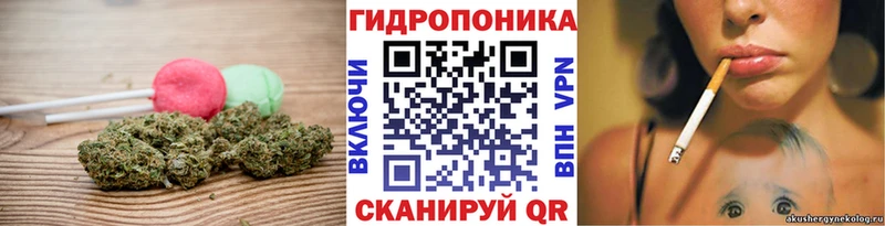 Cannafood марихуана  магазин    Фокино 