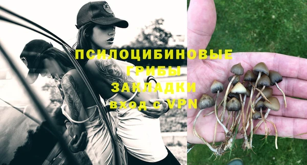 а пвп мука Абаза