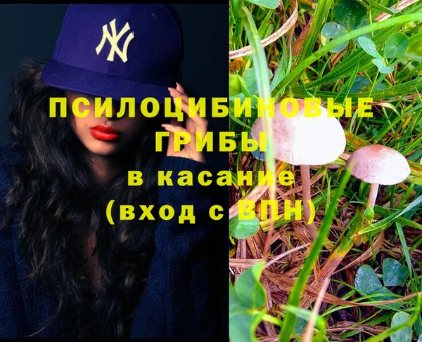 а пвп мука Абаза